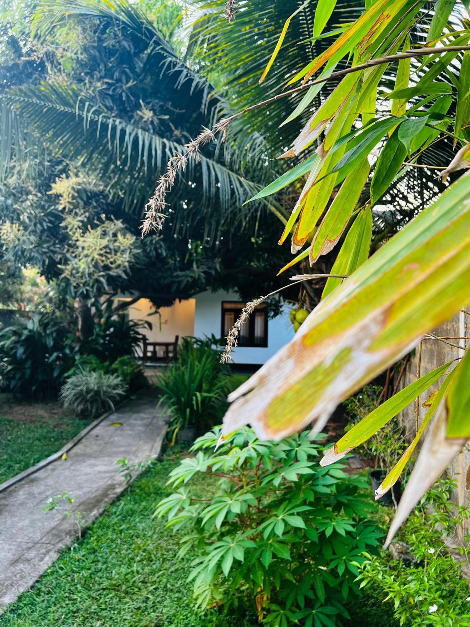 The Mango Retreat Villa Mirissa Exteriör bild