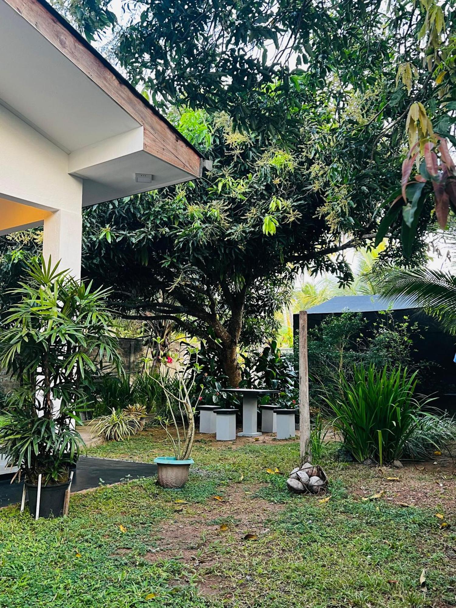 The Mango Retreat Villa Mirissa Exteriör bild